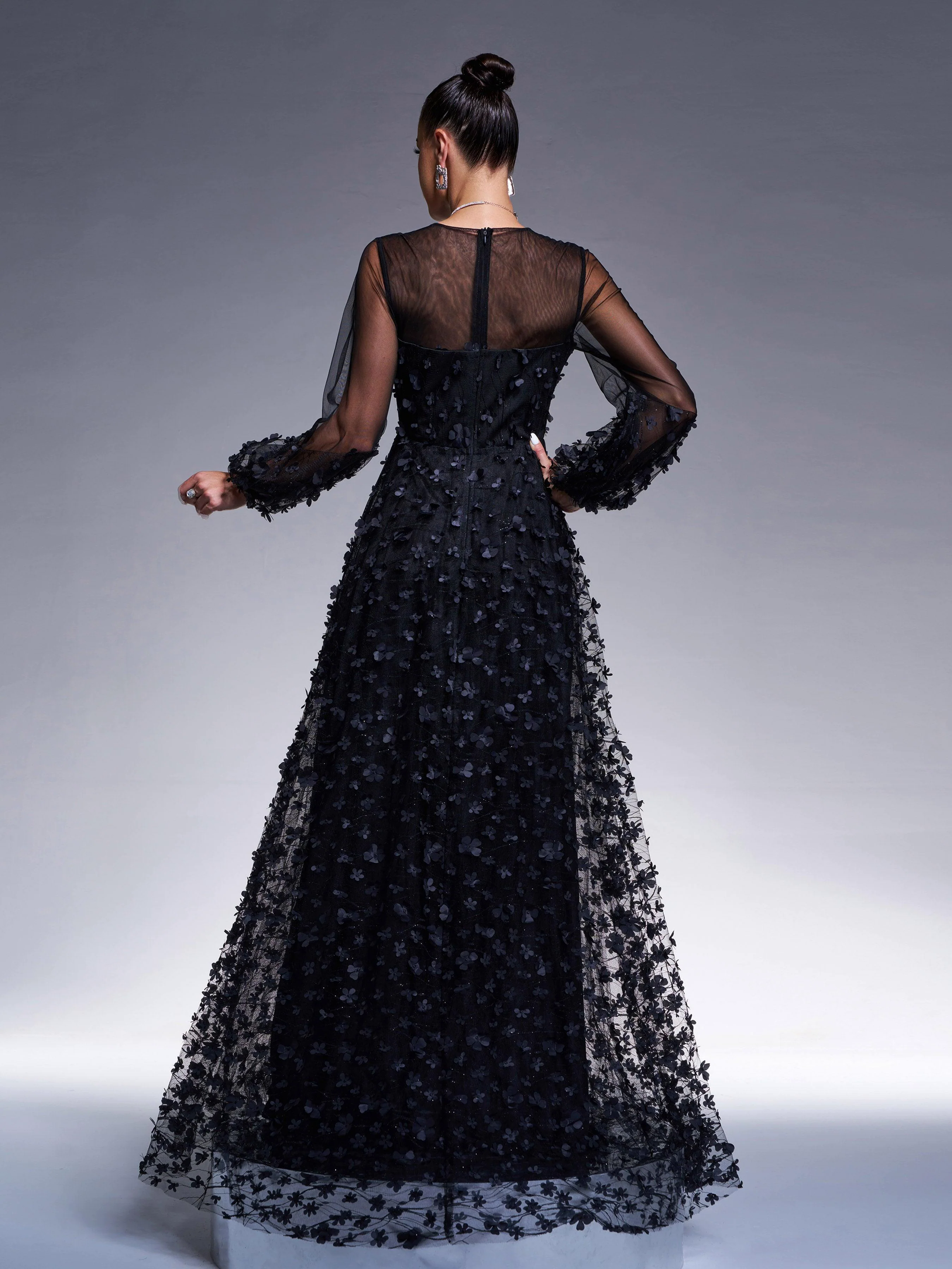 Appliqued Long Sleeve A-line Evening Dress RJ11934 Appliqued Long Sleeve A-line Evening Dress RJ11934